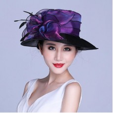 Mujer&apos;s Kentucky Derby Church Wedding Noble Dress hat organza feather hat b4t4t  eb-03101640